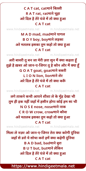 lyrics of song C A T Cat Mane Billi