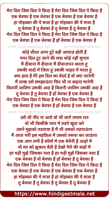 lyrics of song Ek Bewafa Hai Ha Bewafa Hai