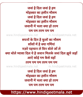 lyrics of song Jawan Hain Dil Jawan Hain Ham