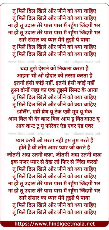 lyrics of song Too Mile Dil Khile