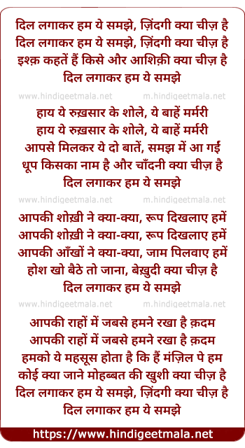 lyrics of song Dil Lagakar Ham Ye Samjhe, Zindagi Kya Chiz Hai (Male)
