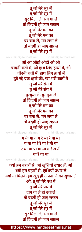 lyrics of song Tu Jo Mere Sur Men Sur Milaa Le
