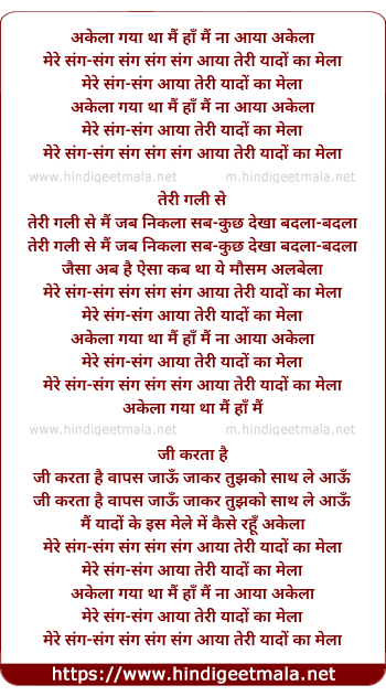 lyrics of song Akelaa Gayaa Thaa Main Haan Main Na Aayaa Akelaa