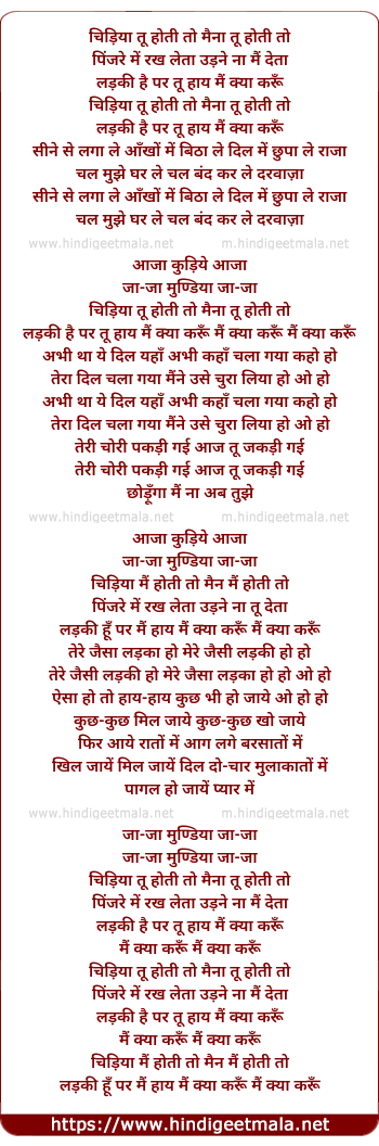lyrics of song Chidiyaa Tu Hoti To Mainaa Tu Hoti To