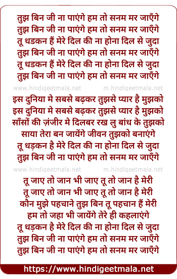 lyrics of song Tujh Bin Ji Naa Paaenge Ham To Sanam Mar Jaaenge