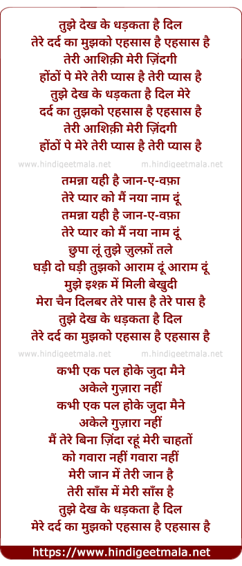 lyrics of song Teri Aashiqui Meri Zindagi