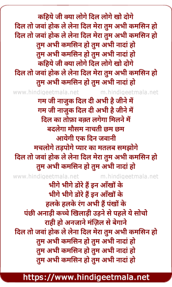 lyrics of song Kahiye Ji Kya Loge Dil Loge Dil Kho Doge
