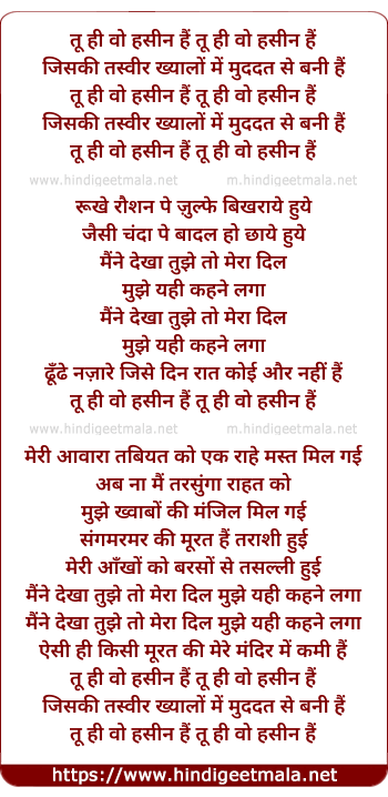lyrics of song Tu Hi Woh Hasin Hai, Jiski Tasvir Khayalo Me