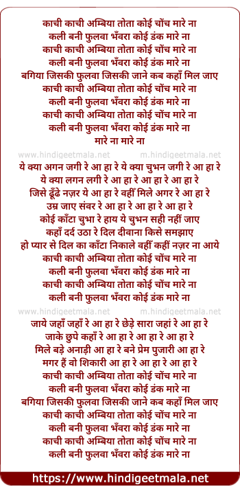 lyrics of song Kachhi Kachhi Ambia