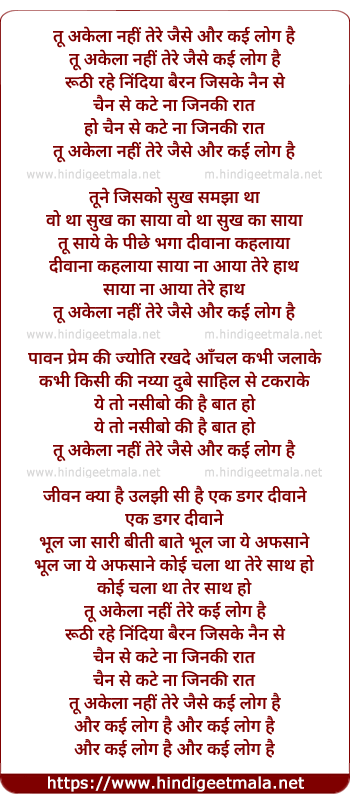 lyrics of song Tu Akela Nahi, Tere Jaise Or Kayi Log Hai