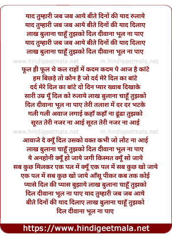 lyrics of song Yaad Tumhari Jab Jab Aaye Beete Dino Ki Yaad Rulaye