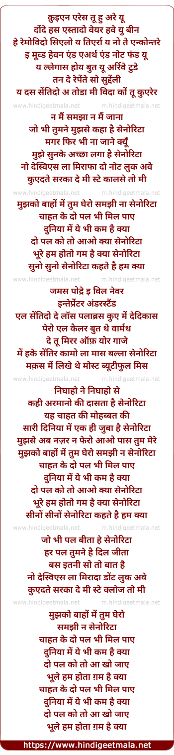 lyrics of song Senorita (Remix)