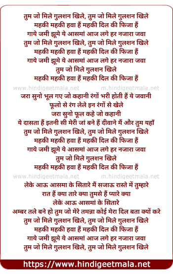lyrics of song Tum Jo Mile Gulshan Khile, Mehki Mehki Hawa Hai