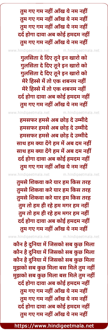 lyrics of song Tum Gaye Gam Nahi Aankh Ye Nam Nahi