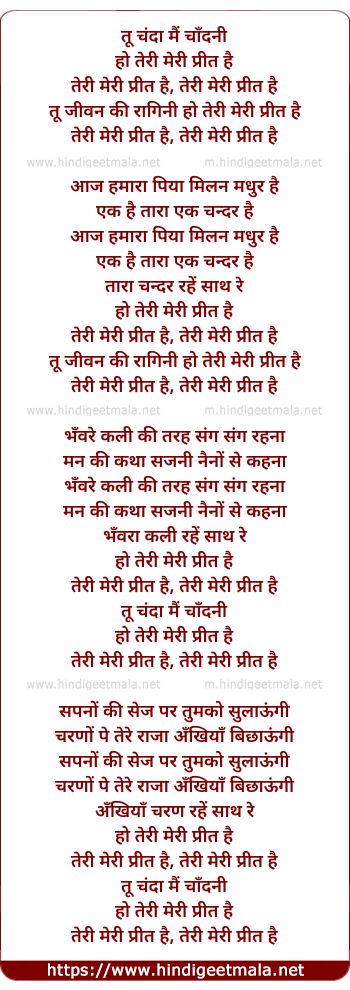 lyrics of song Tu Chanda Mai Chandani Ho Teri Meri Preet Hai