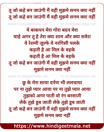 lyrics of song Tu Jo Kahe Ban Jaungi Mai Vahi