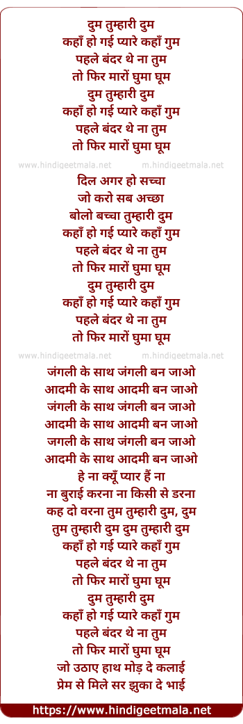 lyrics of song Dum Tumhari Dum