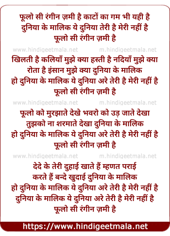 lyrics of song Phulo Se Rangin Zami Hai