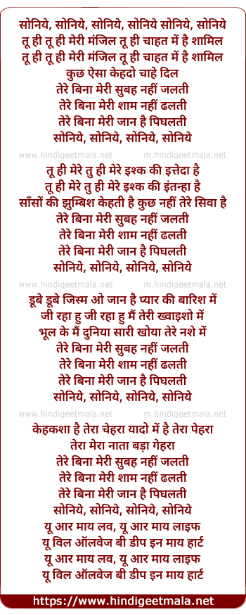 lyrics of song Soniye (Remix)