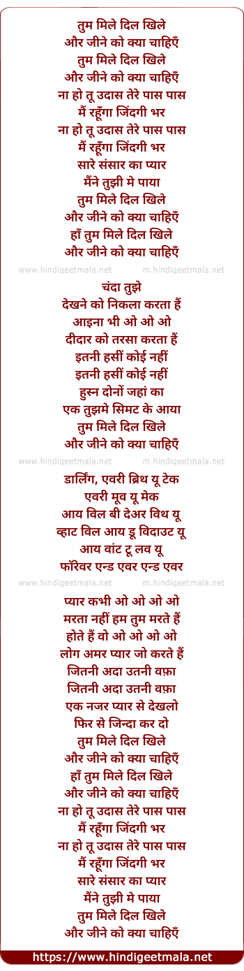 lyrics of song Tum Mile Dil Khile (Male)