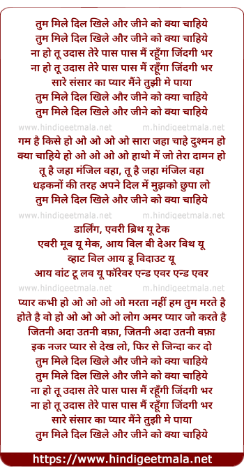 lyrics of song Tum Mile Dil Khile Aur Zine Ko Kya (Female)
