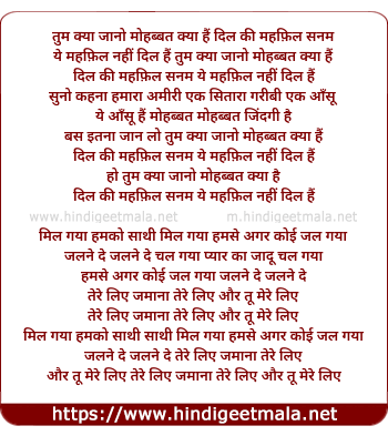 lyrics of song Tum Kya Jano Mohabbat Kya Hai