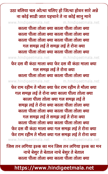 lyrics of song Kaala Peela Tola Kya