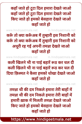 lyrics of song Kaha Jate Ho Toota Dil Hamara Dekhte Jao