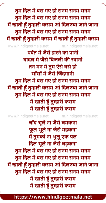 lyrics of song Tum Dil Me Bas Gaye Ho Sanam