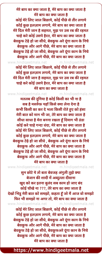 lyrics of song Mere Baap Ka Kya Jata Hai