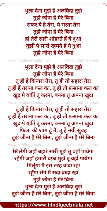 lyrics of song Bhula Dena Mujhe Hai Alvida Tujhe