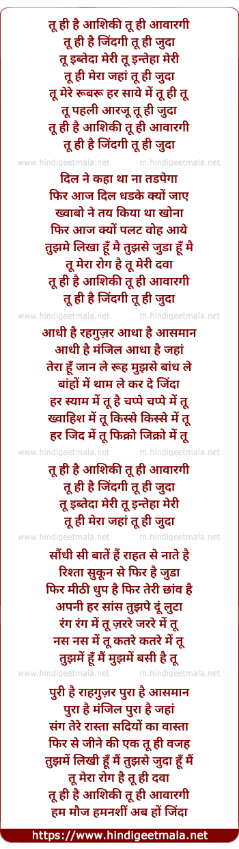 lyrics of song Tu Hi Hai Aashiqui (Duet)