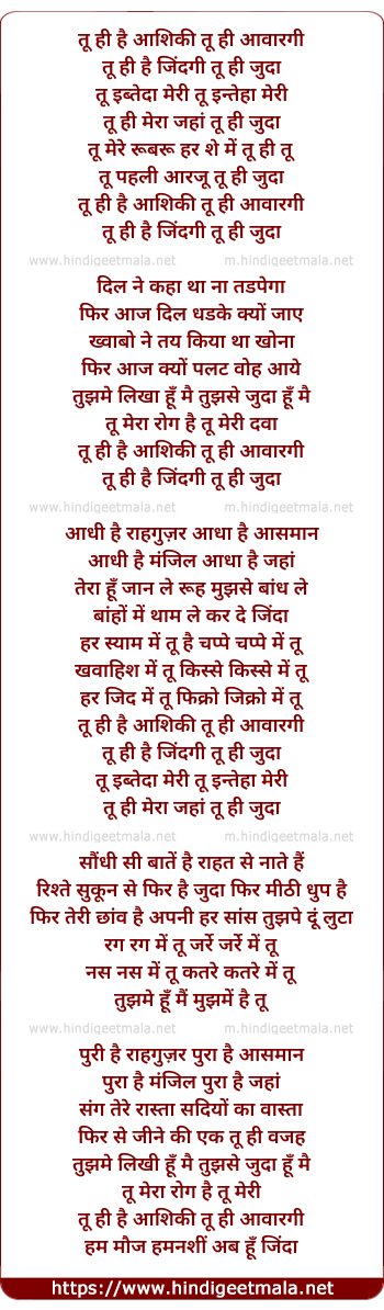 lyrics of song Tu Hi Hai Aashiqui (Remix)