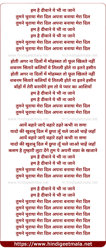 lyrics of song Hum Hai Deewane
