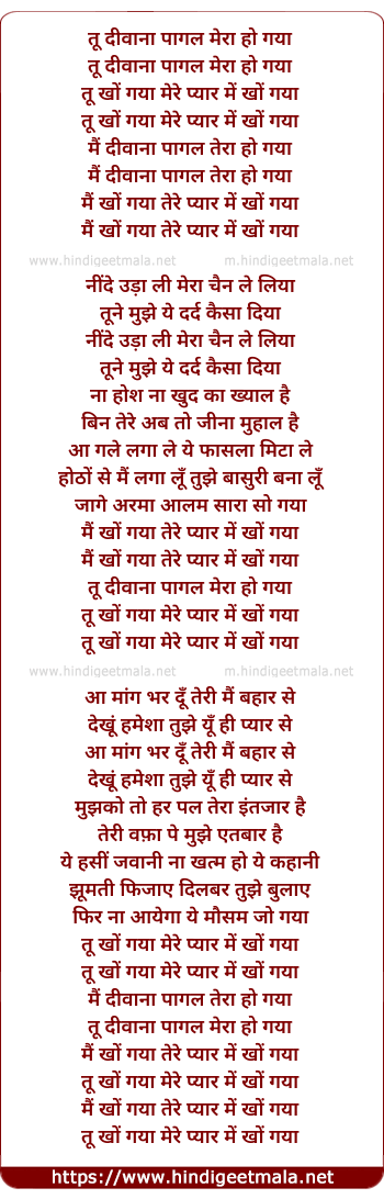 lyrics of song Tu Deewana Paagal Mera Ho Gaya