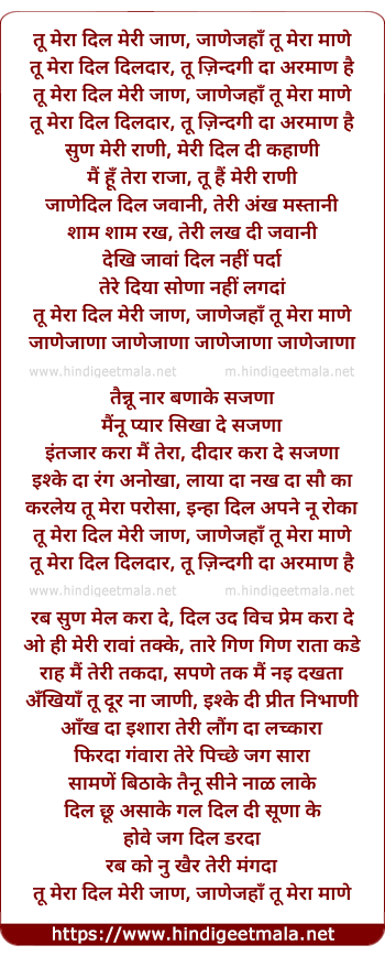 lyrics of song Tu Mera Dil