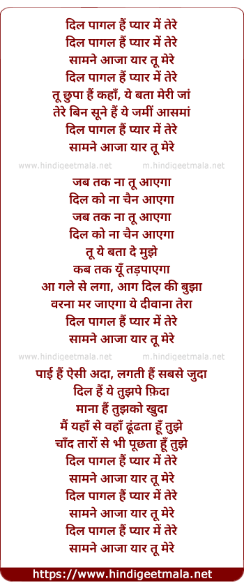 lyrics of song Dil Paagal Hai
