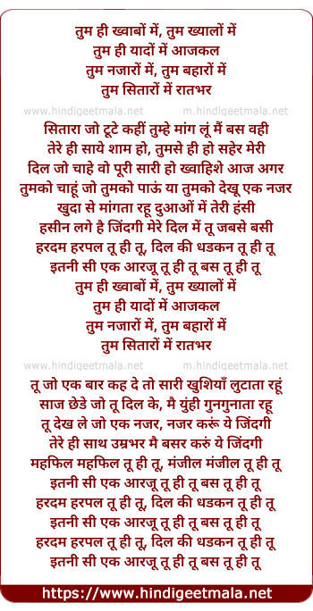 lyrics of song Tu Hi Tu (Magnesh)