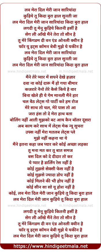 lyrics of song Desi Boy (World Child)