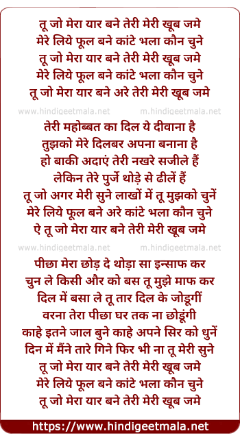 lyrics of song Tu Jo Mera Yaar Bane