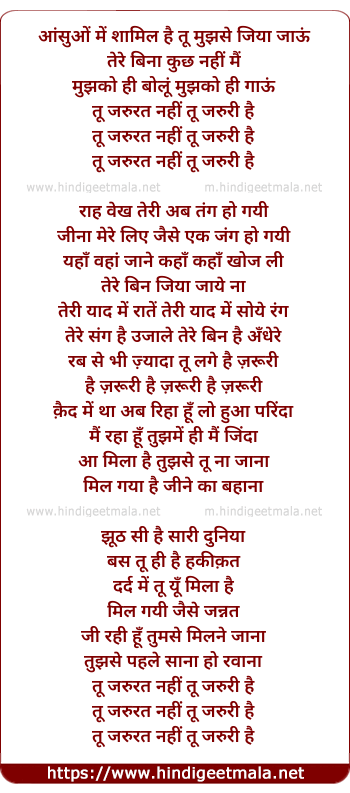 lyrics of song Tu Zarurat Nahi Tu Zaruri 